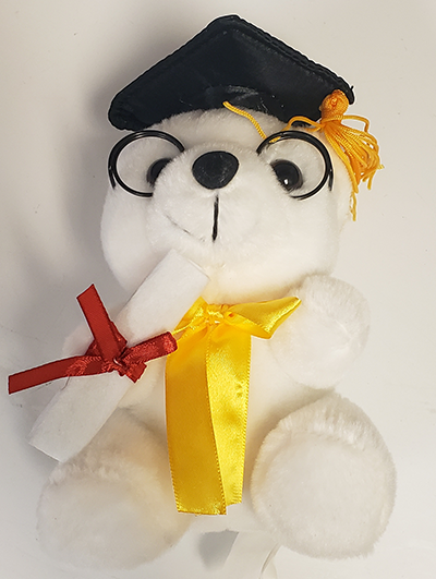 6" Smarty Bear Package