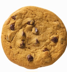 Limited Edition: Pumpkin Chocolate Chip